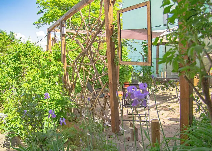 Lupeni Alley Cozy Central Apartment&Private Garden