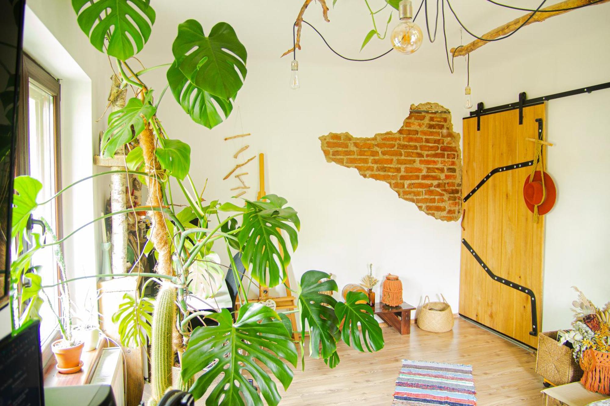 Apartament Lupeni Alley Cozy Apartment&private Garden