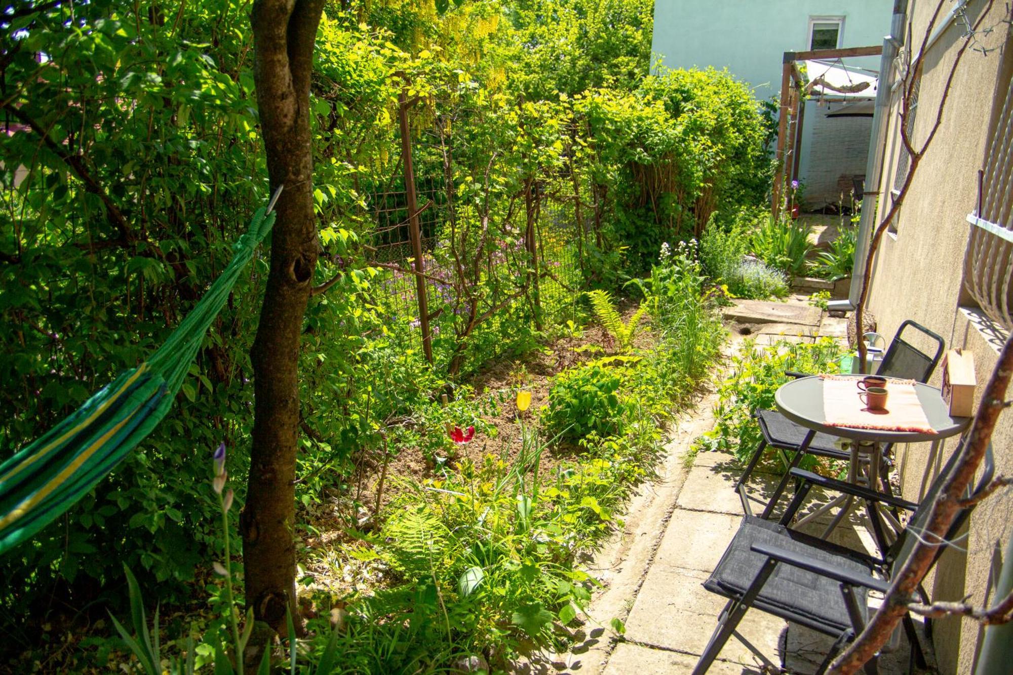 Lupeni Alley Cozy Apartment&private Garden