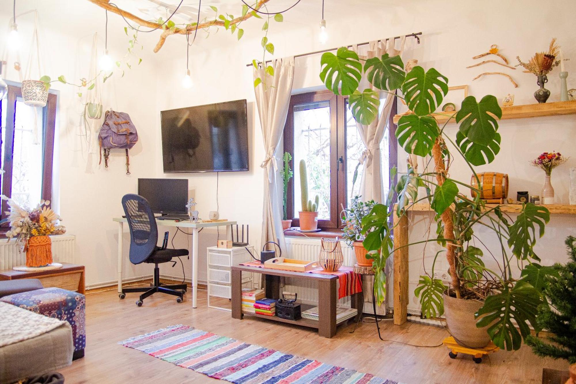 Lupeni Alley Cozy Apartment&private Garden *